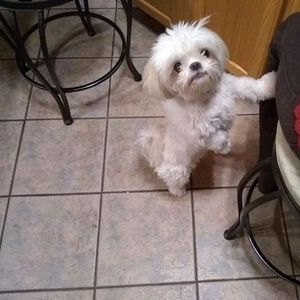 Meet your Posher, Kim